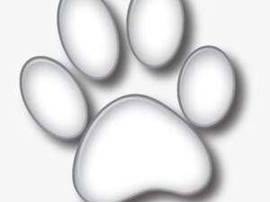 White Dog Paw Png - Transparent 