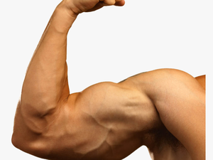 Muscle Hand Png - Muscle Arm Png
