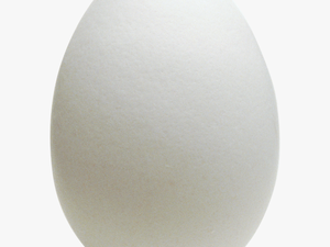 Egg Png Free Download - Transpar