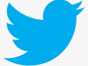 Twitter Bird Icon Png