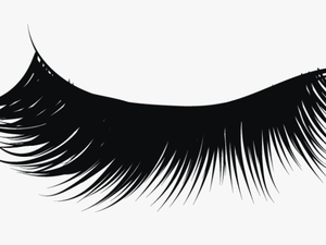 Clip Art Collection Of Free Vector - Transparent Background Eyelash Png