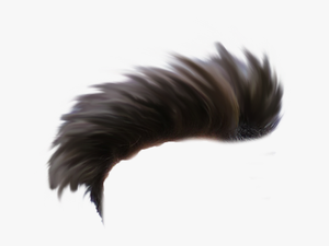 Donald Trump Hair Png -cb Editing Hair Png Download - One Side Hair Png