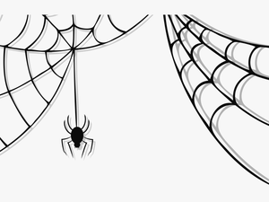 Spider Web Images Free - Transpa