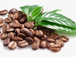 Download Coffee Beans Png Image 