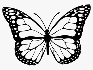 Butterfly Clipart Black And White Png
