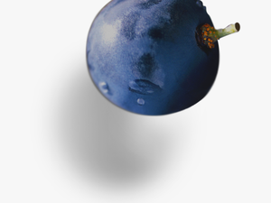 Single Grape Png - One Transparent Grape Png