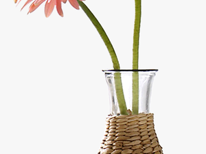 Beautiful Vase Flower Decoration