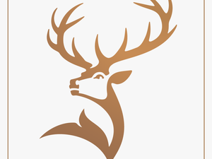 Transparent Deer Logo Png - Glen