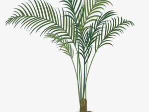 House Plant Png - Potted Plant P