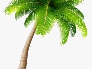 Palm Tree Png Clipart Image - Transparent Background Coconut Tree Clipart