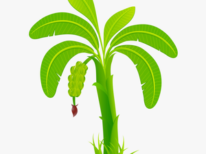 Banana Leaf Business - Banana Tree Clipart Png