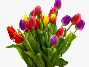 Easter Flower Png - Bunch Of Tul