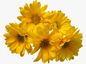 Yellow Flowers Bouquet Png Trans