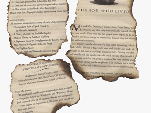 Harry Potter Burned Pages