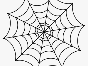Spider Web Drawing - Transparent
