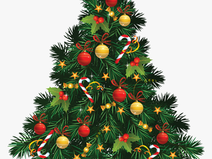 Christmas Tree Png - Christmas T