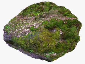 Rock With Moss Png 