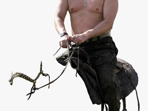 Transparent Putin Png - Putin Riding Horse Png
