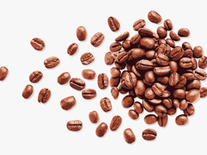 Coffee Bean Espresso - Transparent Background Coffee Beans Png