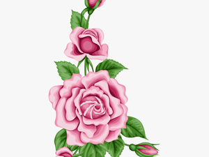 Flower Card With Colorful Roses Png Pinterest - Flower Border Designs Colorful