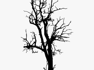Free Dead Tree Png - Dead Tree Silhouette Png