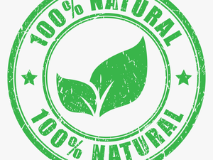 100 Natural Logo Vector 