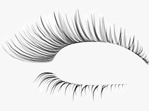 Eye Lash Extension - Transparent Background Fake Eyelashes Transparent