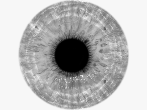 Transparent Gray Fullbuster Png - White Eye Lens Png