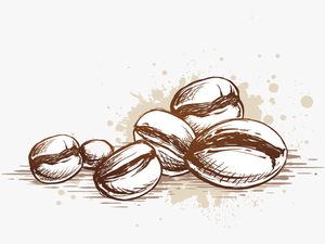 Beans Vector Coffee Seed - Coffee Bean Vector Png