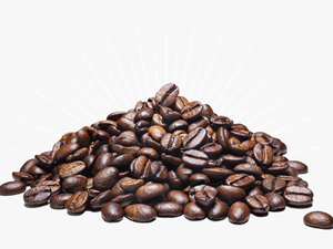 Transparent Cocoa Beans Png - High Resolution Coffee Beans Png