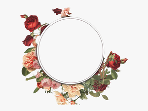 Round Flower Frame Png - Transparent Background Flower Frame Png