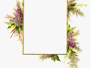 Floral Frame Png - Transparent Background Floral Frame