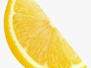 Lemon Lemonade Orange Slice Yell