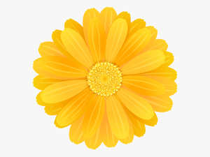 Transparent Yellow Flower Png - 