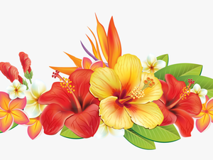 Hawaiian Flower Vector Png