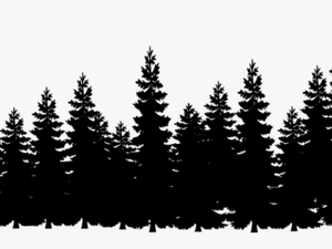 Tree Line Png - Black Pine Tree Silhouette