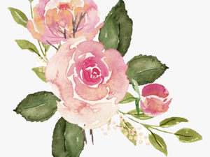 #watercolor #roses #flowers #flo