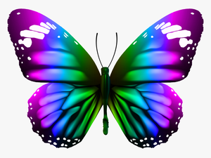 Download Butterfly Transparent Clipart Photo Top Png - Monarch Butterfly Png