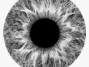 #grey #lens #eye #eyes #moon #gri #lens #göz - Gray Eye Lens Png