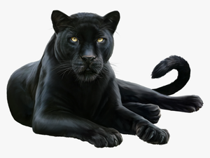 #blackpanther #jaguar #layingdow