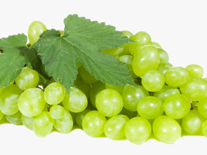 Green Grapes Transparent Background - Transparent Background Green Grape Png