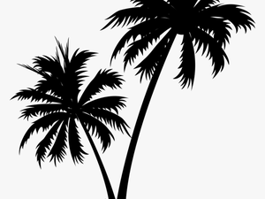 Transparent Coconut Tree Vector Png - Coconut Tree Vector Png