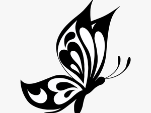 Elegant Butterfly Vector Images An Images Hub - Transparent Butterfly Vector Png