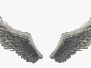 Angel Wings God Sticker - Feathe