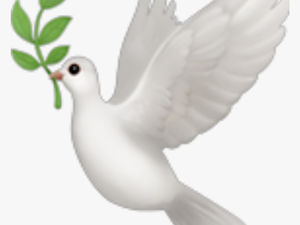 #emoji #emojis #bird #dove - Emoji Bird