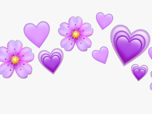 #purple #purpleheart #hearts #he
