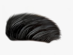 Cb All Hair Png