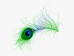 Feathers Clipart Png - Transpare