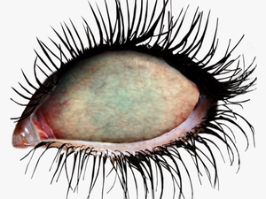 #ftestickers #eye #eyes #zombie #zombieeyes #undead - Zombie Eyes Transparent