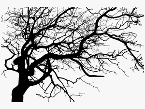 Dark Tree Png - Spooky Tree Silhouette Png